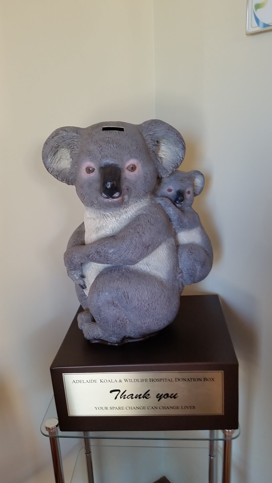 Adelaide Koala & Wildlife Hospital | 282 Anzac Hwy, Plympton SA 5038, Australia | Phone: (08) 8297 2455