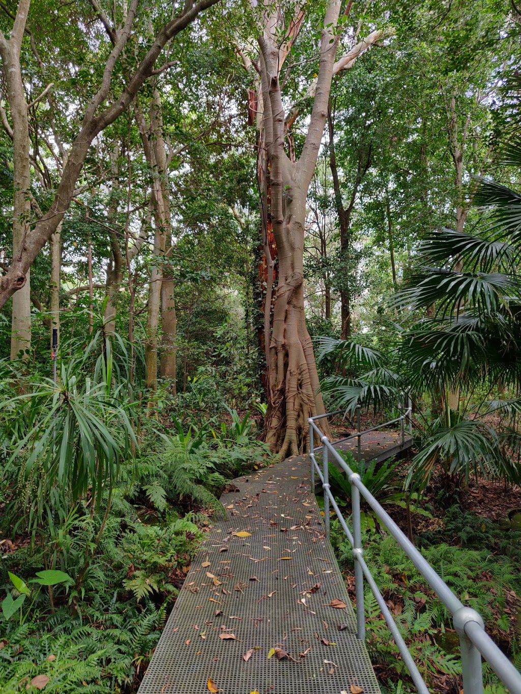 Sylvan Grove Native Garden | park | 7 Sylvan Grove, Picnic Point NSW 2213, Australia | 0297079699 OR +61 2 9707 9699
