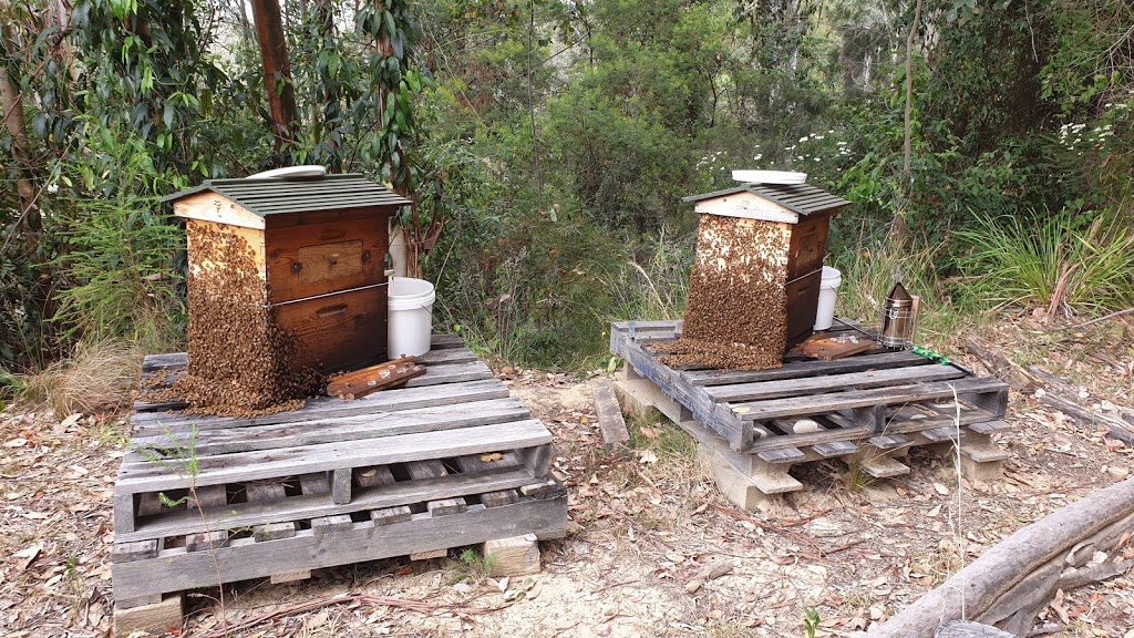 Misty Views Farm, home of Misty Views Honey™ | 60 Brush Creek Rd, Cedar Brush Creek NSW 2259, Australia | Phone: 0416 097 192