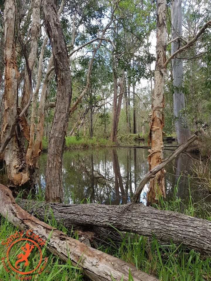 Sandy Creek Centre | Unnamed Road, St Mary QLD 4650, Australia | Phone: 0402 254 986