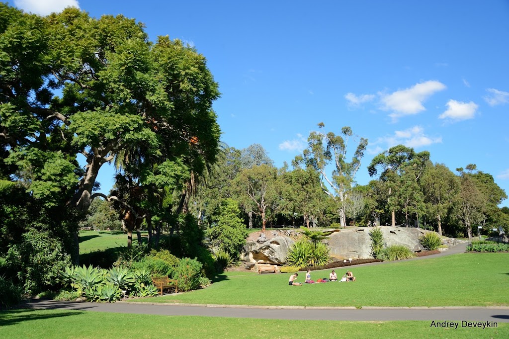 Flower Bed Lawn - Royal Botanic Garden | park | 4A Macquarie St, Sydney NSW 2000, Australia