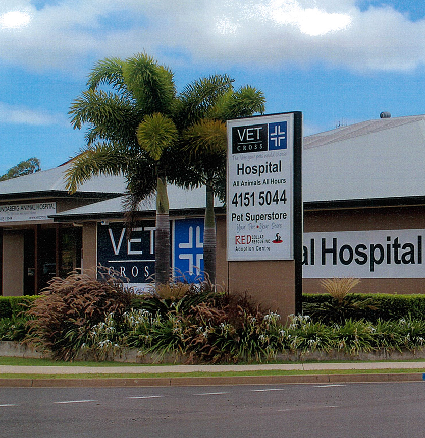 Vet Cross | veterinary care | 2 Inglis Ct, Bundaberg Central QLD 4670, Australia | 0741515044 OR +61 7 4151 5044