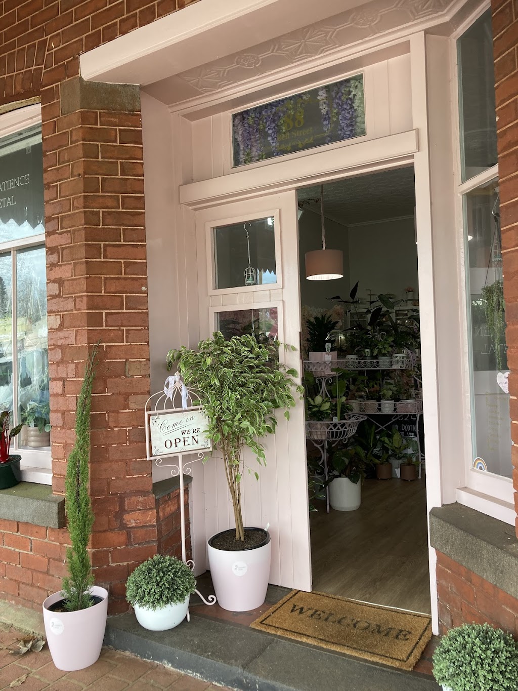Patience Petal | 88 Bell St, Penshurst VIC 3289, Australia | Phone: (03) 5576 7279