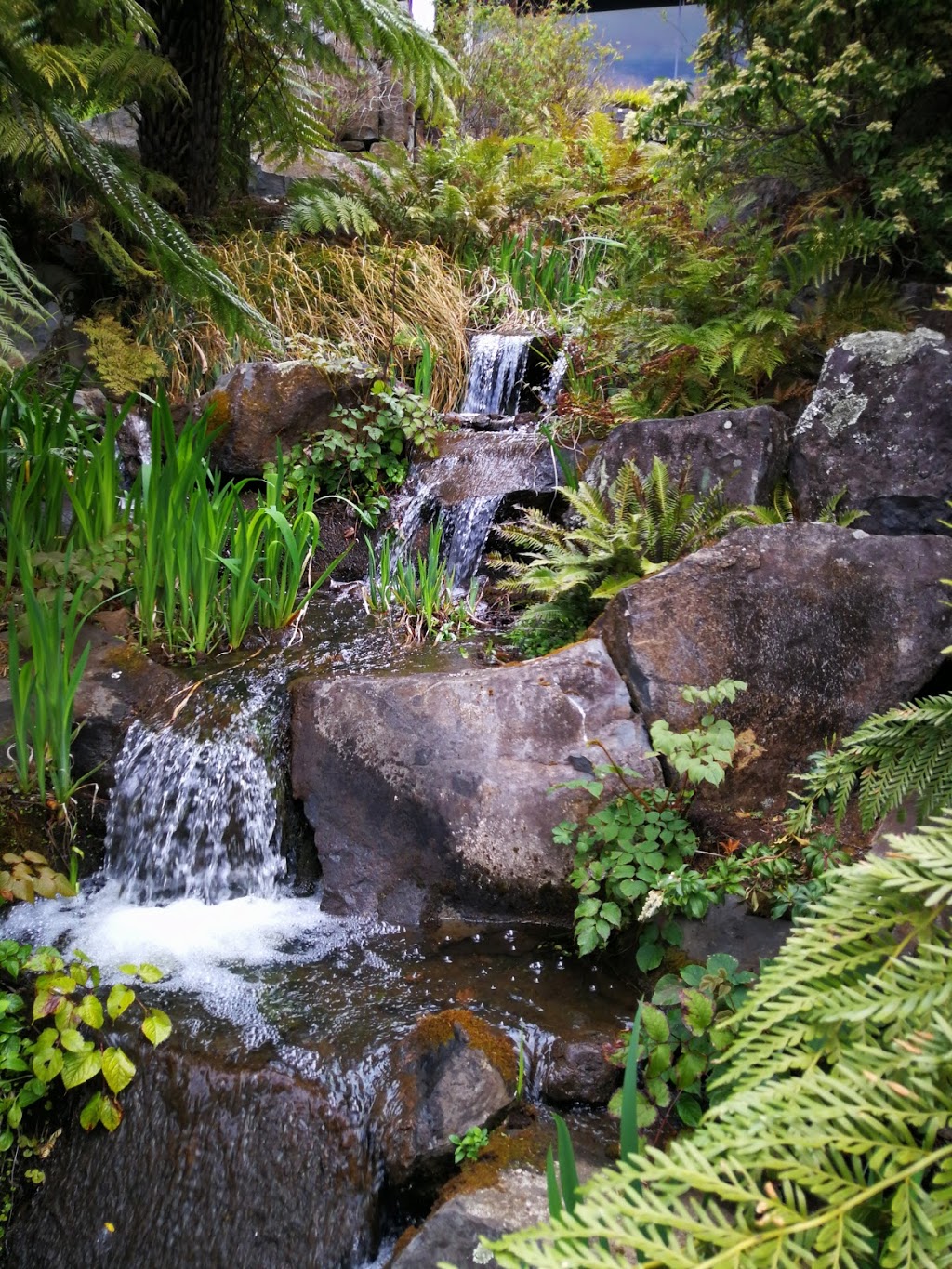Blue Mountains Botanic Garden | park | Bells Line of Rd, Mount Tomah NSW 2758, Australia | 0245673000 OR +61 2 4567 3000