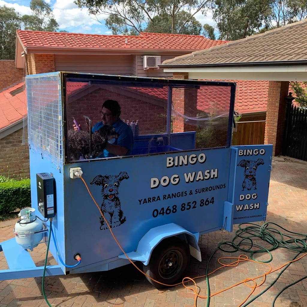 Bingo Dog Wash - Yarra Ranges and Surrounds | Marcus St, Mount Evelyn VIC 3796, Australia | Phone: 0468 852 864