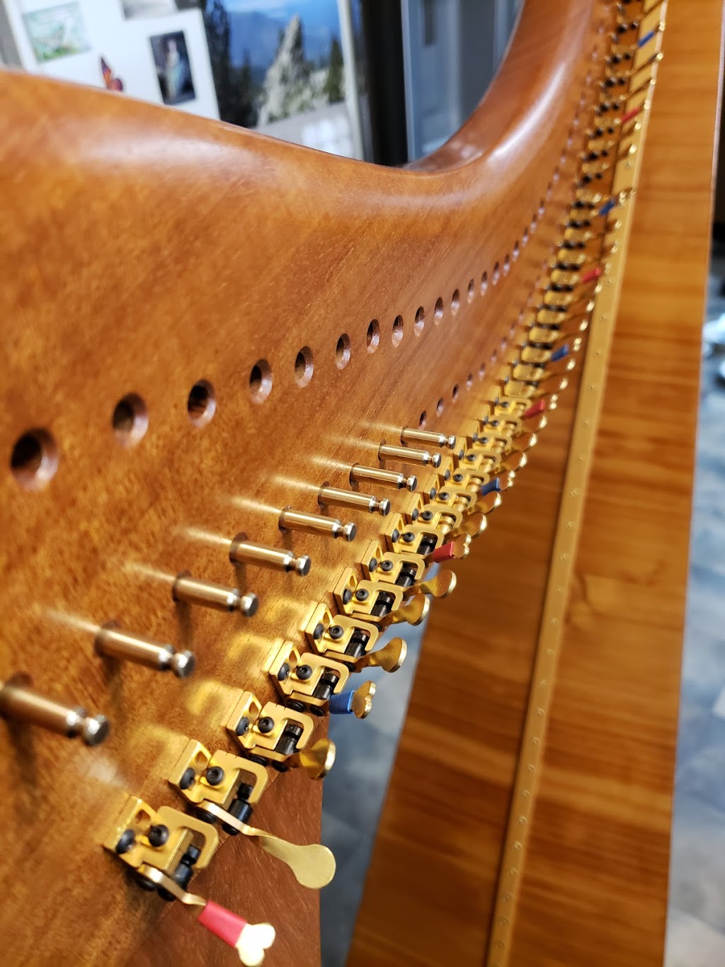 Sydney Harp Repairs |  | 19 Binya St, Pendle Hill NSW 2145, Australia | 0429923906 OR +61 429 923 906