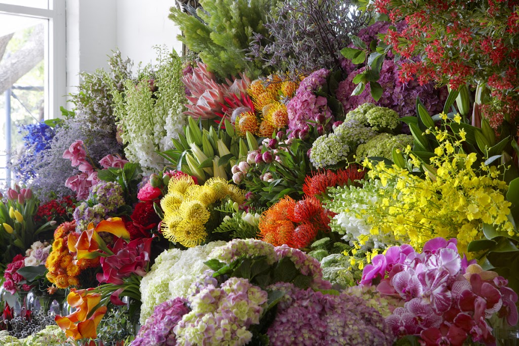 Jodie McGregor Flowers | florist | 123 Johnston St, Annandale NSW 2038, Australia | 0295661999 OR +61 2 9566 1999