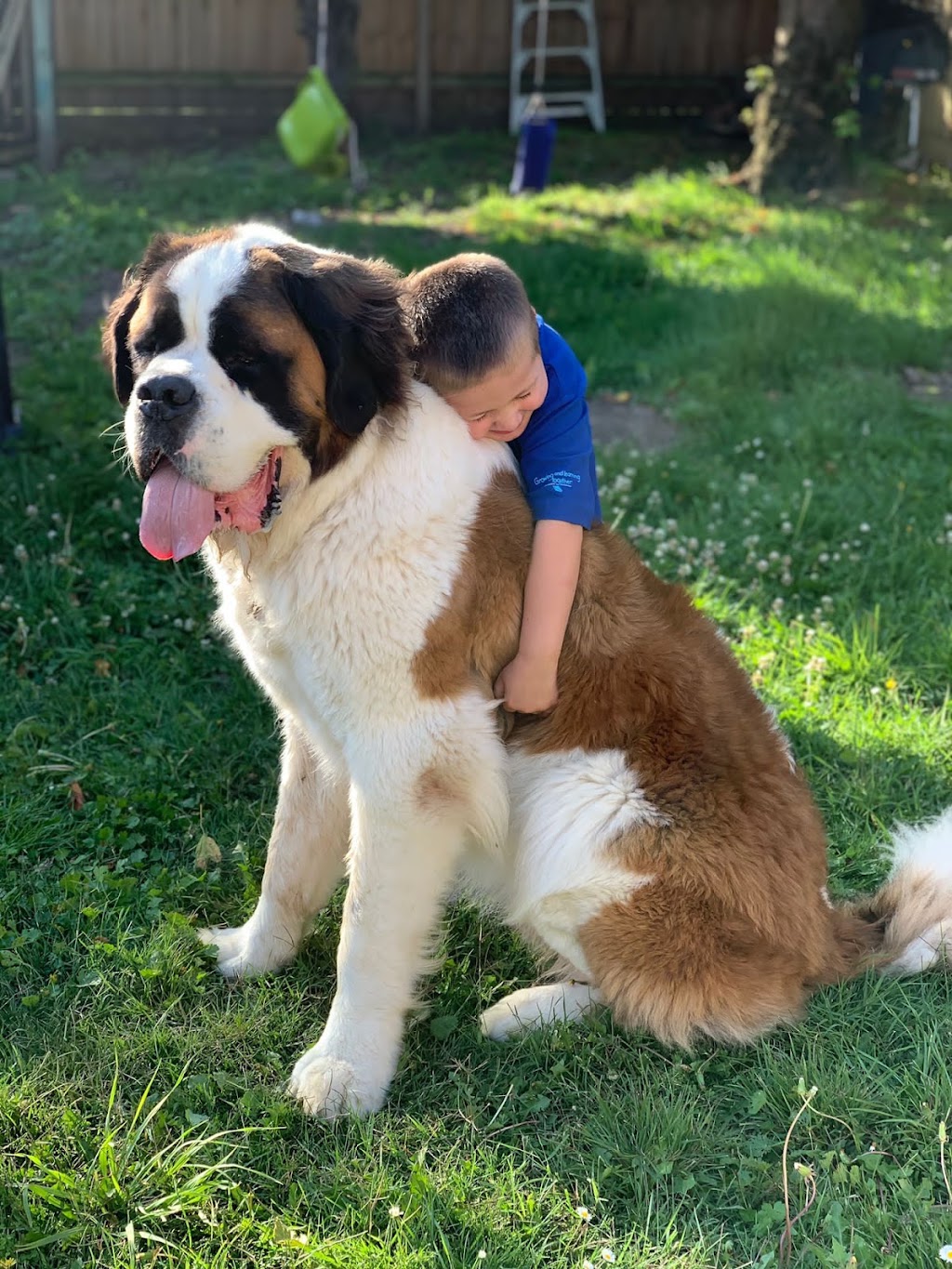 ME Animal Assisted Wellness | 214 Eramosa Rd W, Moorooduc VIC 3933, Australia | Phone: 0416 122 946