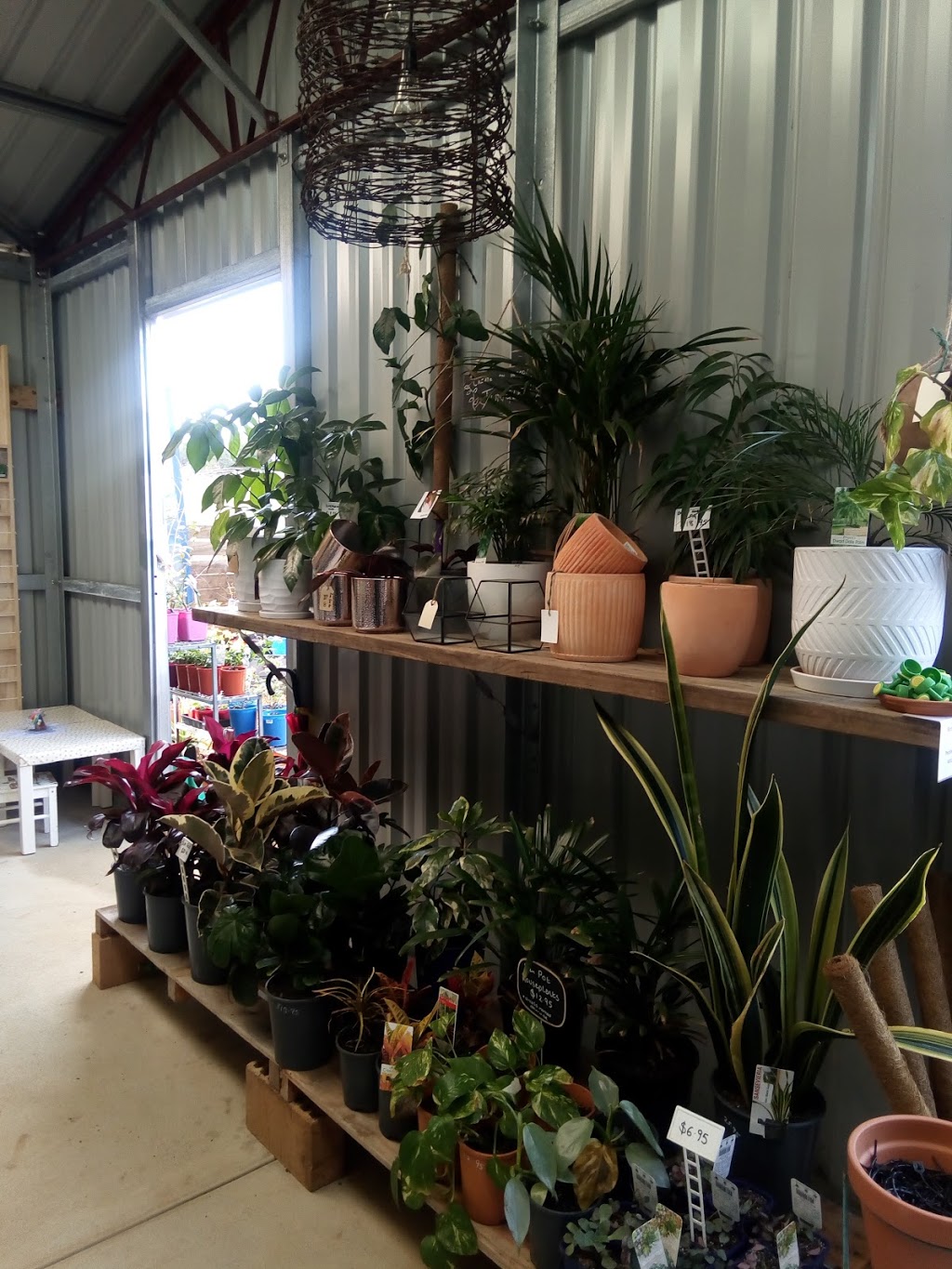 Thrive Sustainability | store | 48 Citron Way, Lower Chittering WA 6084, Australia | 0408157301 OR +61 408 157 301