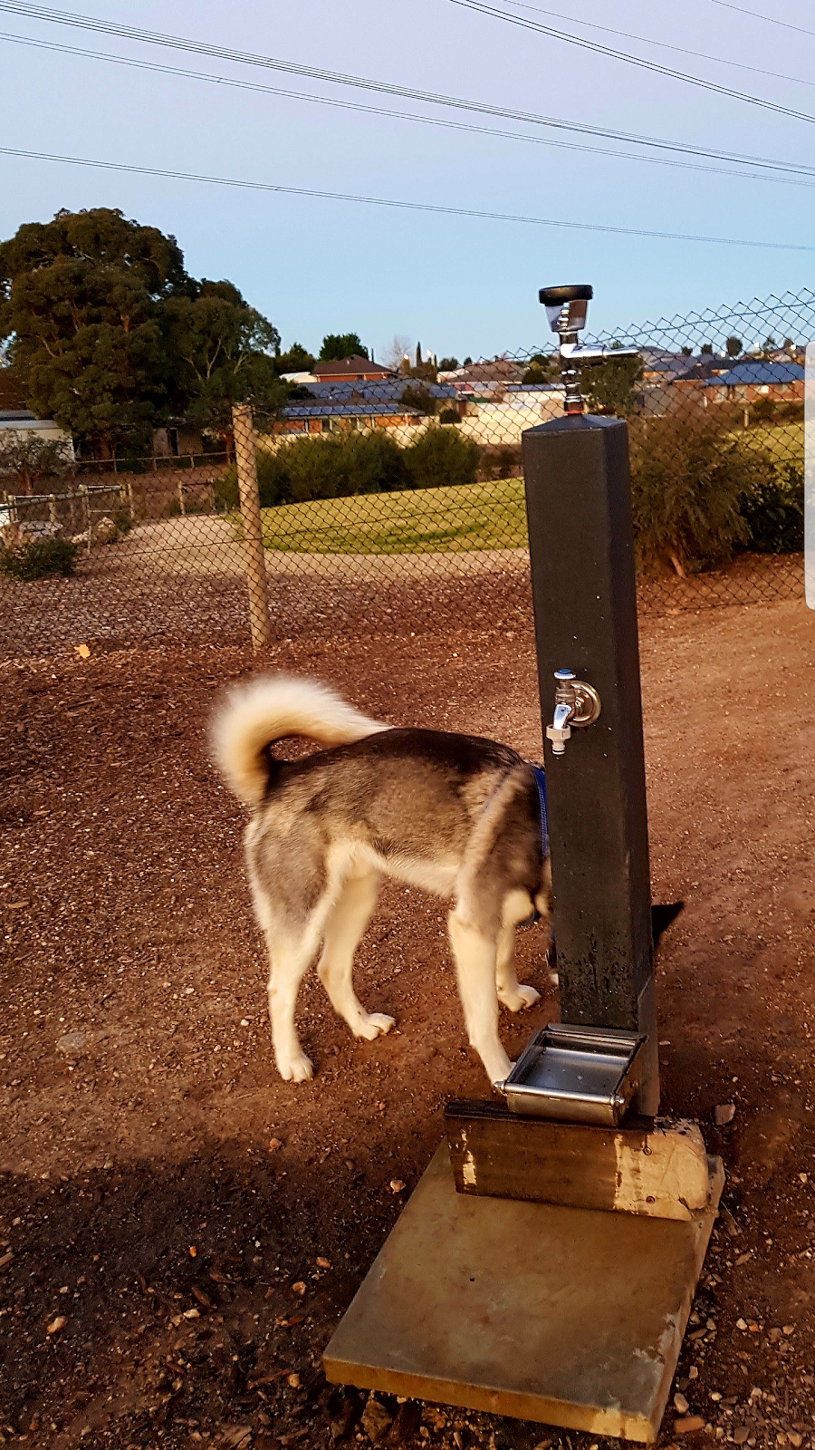 "Barka Park" Dog Park | park | 29 Zanker Dr, Mount Barker SA 5251, Australia