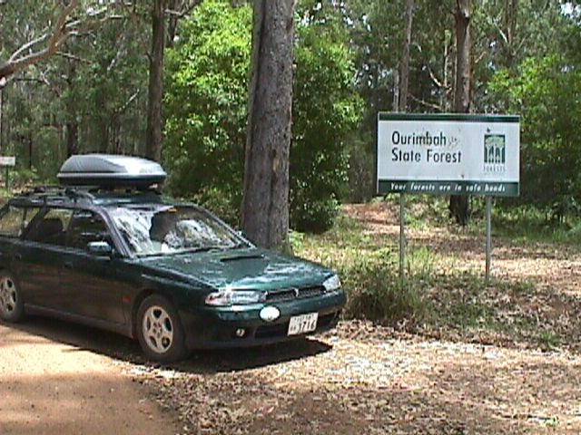 Ourimbah State Forest | Bruces Point Rd, Ourimbah NSW 2258, Australia | Phone: 1300 655 687