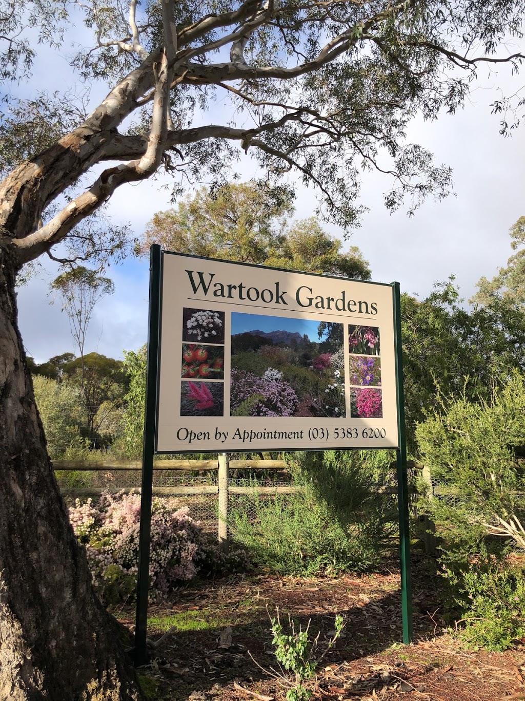 Wartook Gardens | park | 2866 Northern Grampians Rd, Wartook VIC 3401, Australia | 0353836200 OR +61 3 5383 6200
