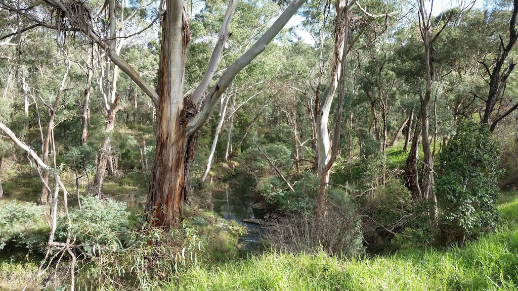 Yarran Dheran Nature Reserve | Ashburton Dr, Mitcham VIC 3132, Australia | Phone: (03) 9874 5968