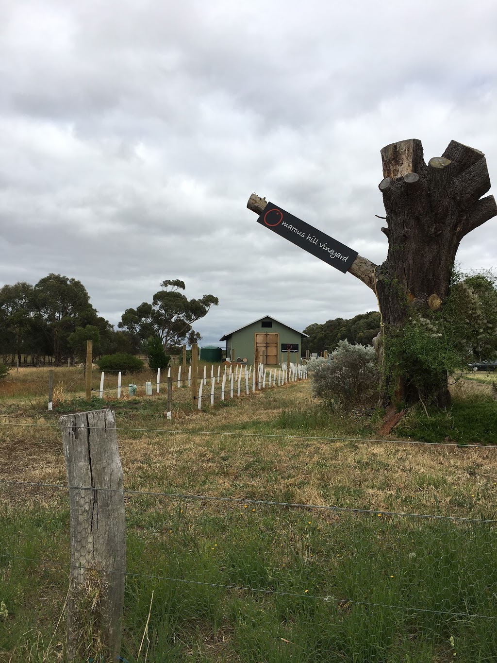 Marcus Hill Vineyard | 560 Banks Rd, Mannerim VIC 3222, Australia | Phone: 0421 728 437