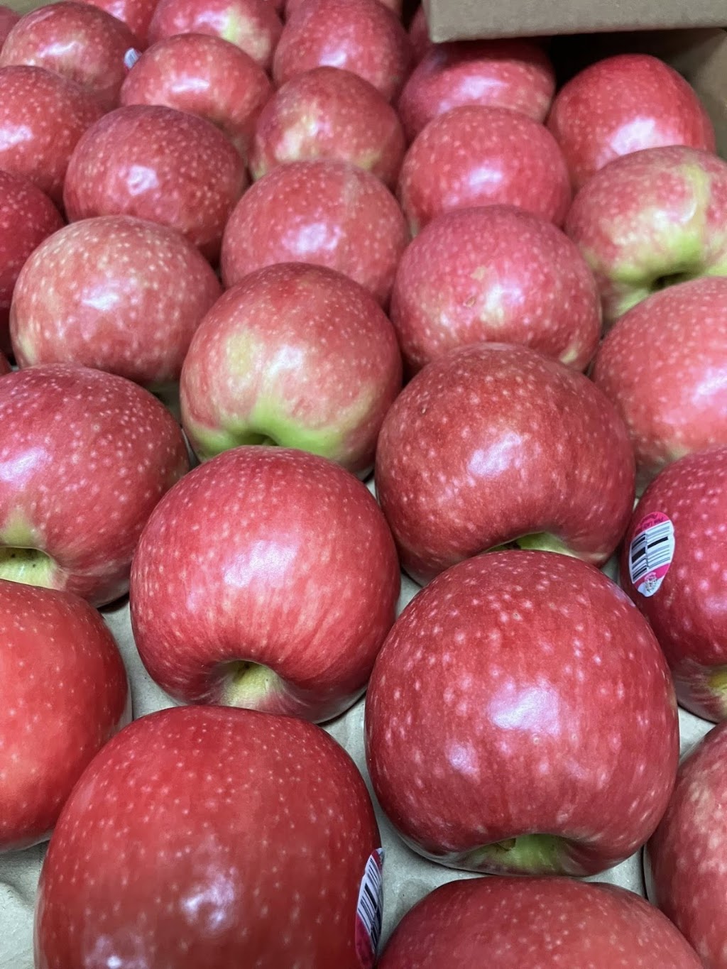 Harvest Fresh Tatura | 51-55 Hogan St, Tatura VIC 3616, Australia | Phone: 0419 310 135