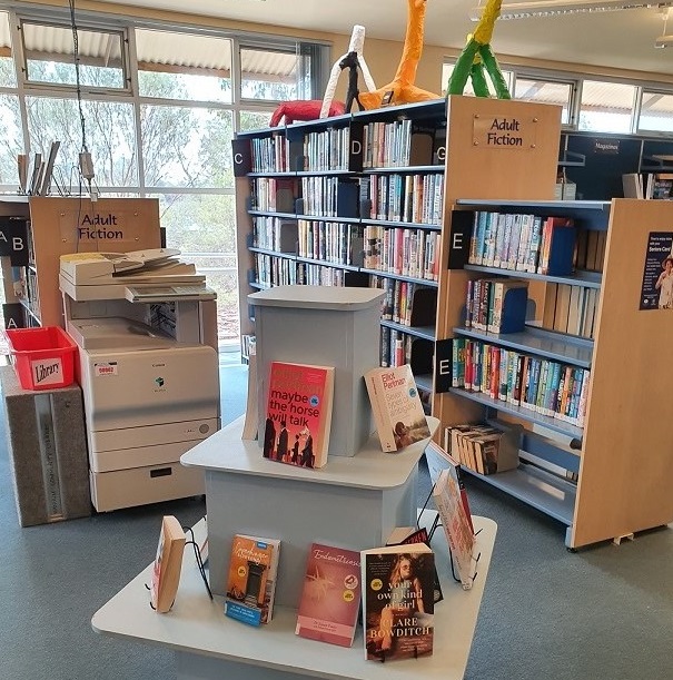 Mannum School & Community Library | library | 49 Walker Ave, Mannum SA 5238, Australia | 0885692005 OR +61 8 8569 2005