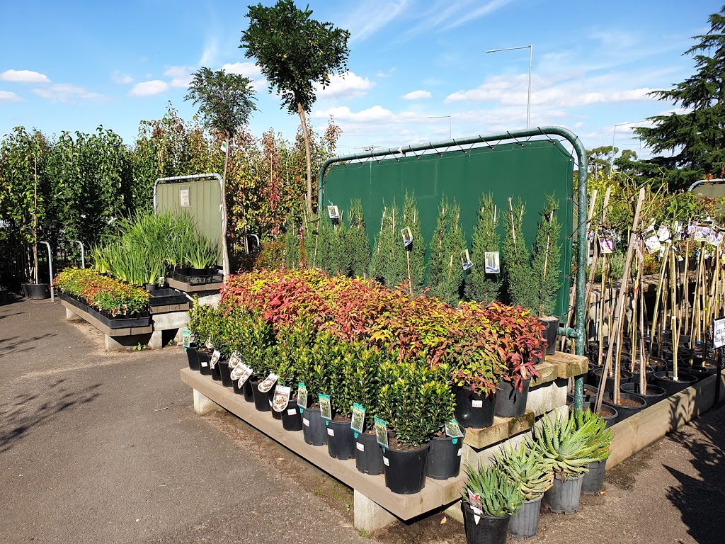 Direct Plants | 595 Mickleham Rd, Greenvale VIC 3059, Australia | Phone: (03) 9333 2575