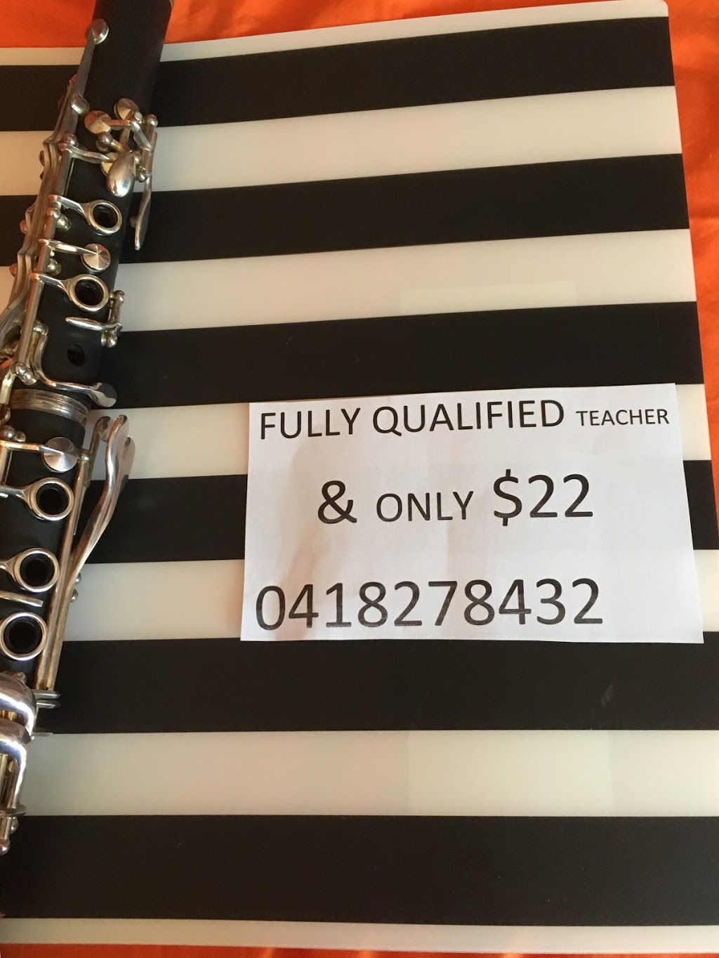 The Psaltery School of Music fully Qualified teacher K -12 all i | 12A Robert St, Tenambit NSW 2323, Australia | Phone: 0438 412 582