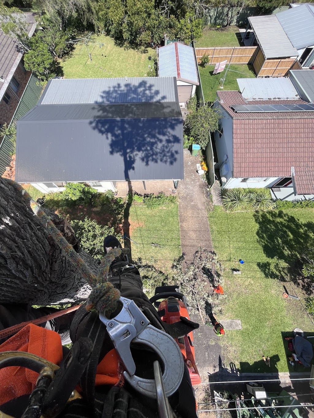 Coastal Trees | 94 Aloha Dr, Chittaway Bay NSW 2261, Australia | Phone: 0402 661 491