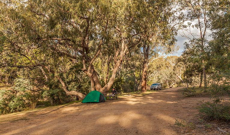 Jacobs River campground | campground | Barry Way, Kosciuszko National Park NSW 2627, Australia | 0264505600 OR +61 2 6450 5600