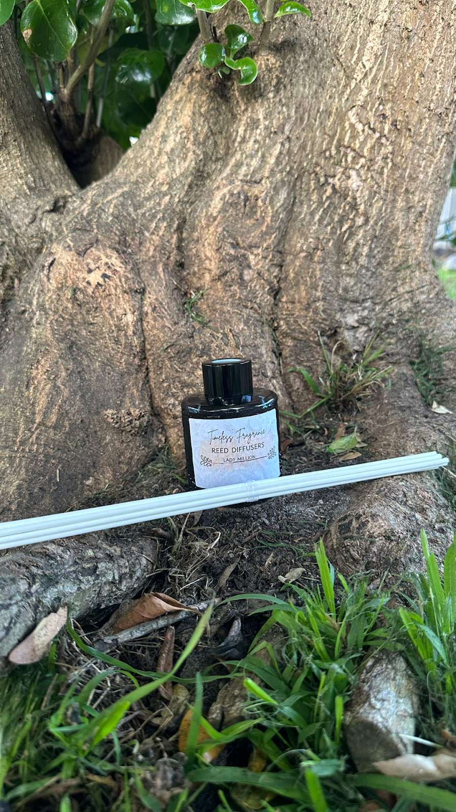 Timeless fragrance | 54 Adelaide St, George Town TAS 7253, Australia | Phone: 0428 731 215