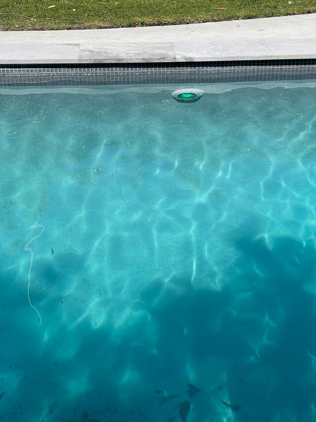 Morrison pool renovations |  | 6 Sandpiper Cl, Blind Bight VIC 3980, Australia | 0411155856 OR +61 411 155 856