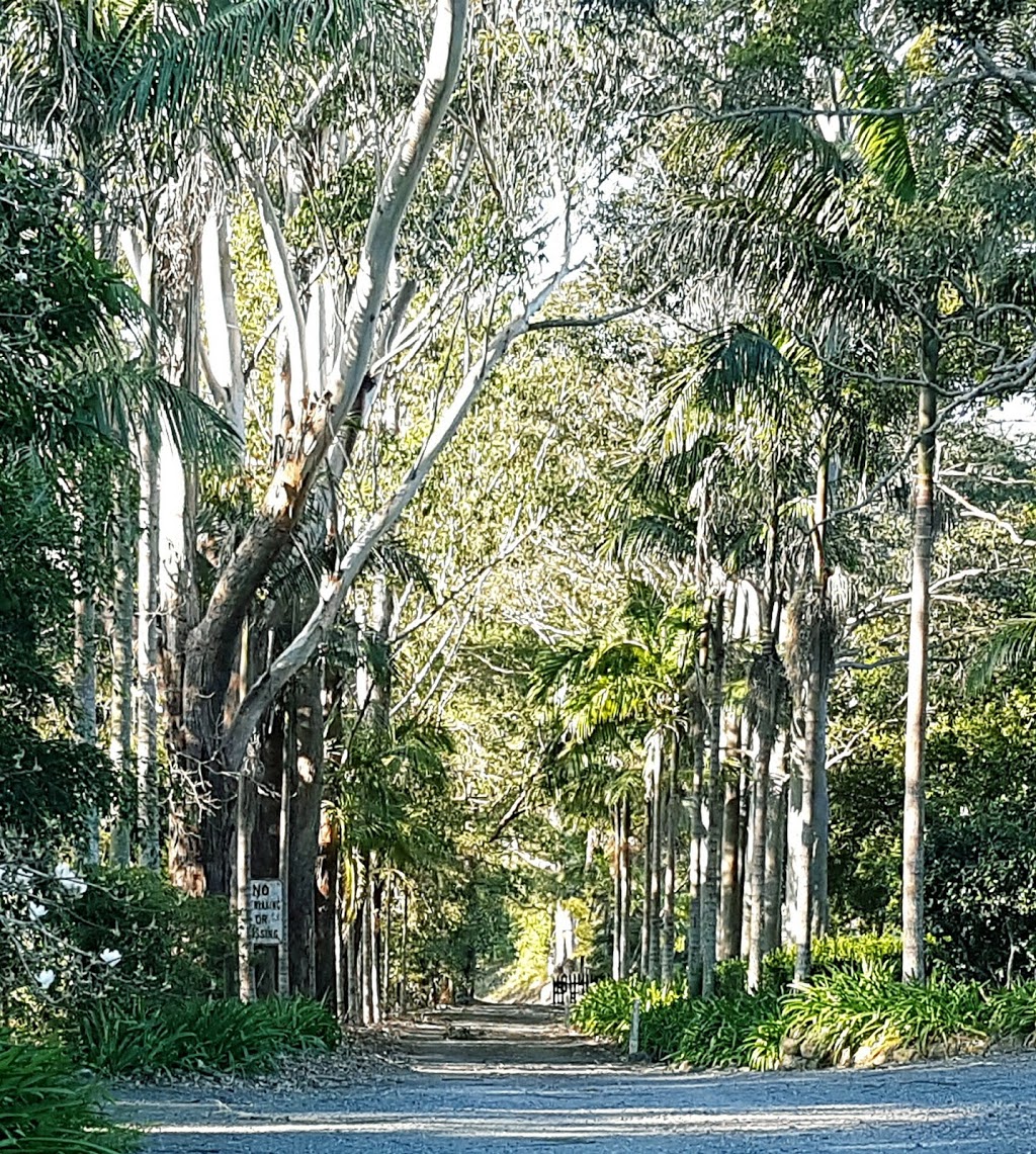 Lorne Valley Macadamia Farm |  | 1181 Lorne Rd, Lorne NSW 2439, Australia | 0265569653 OR +61 2 6556 9653