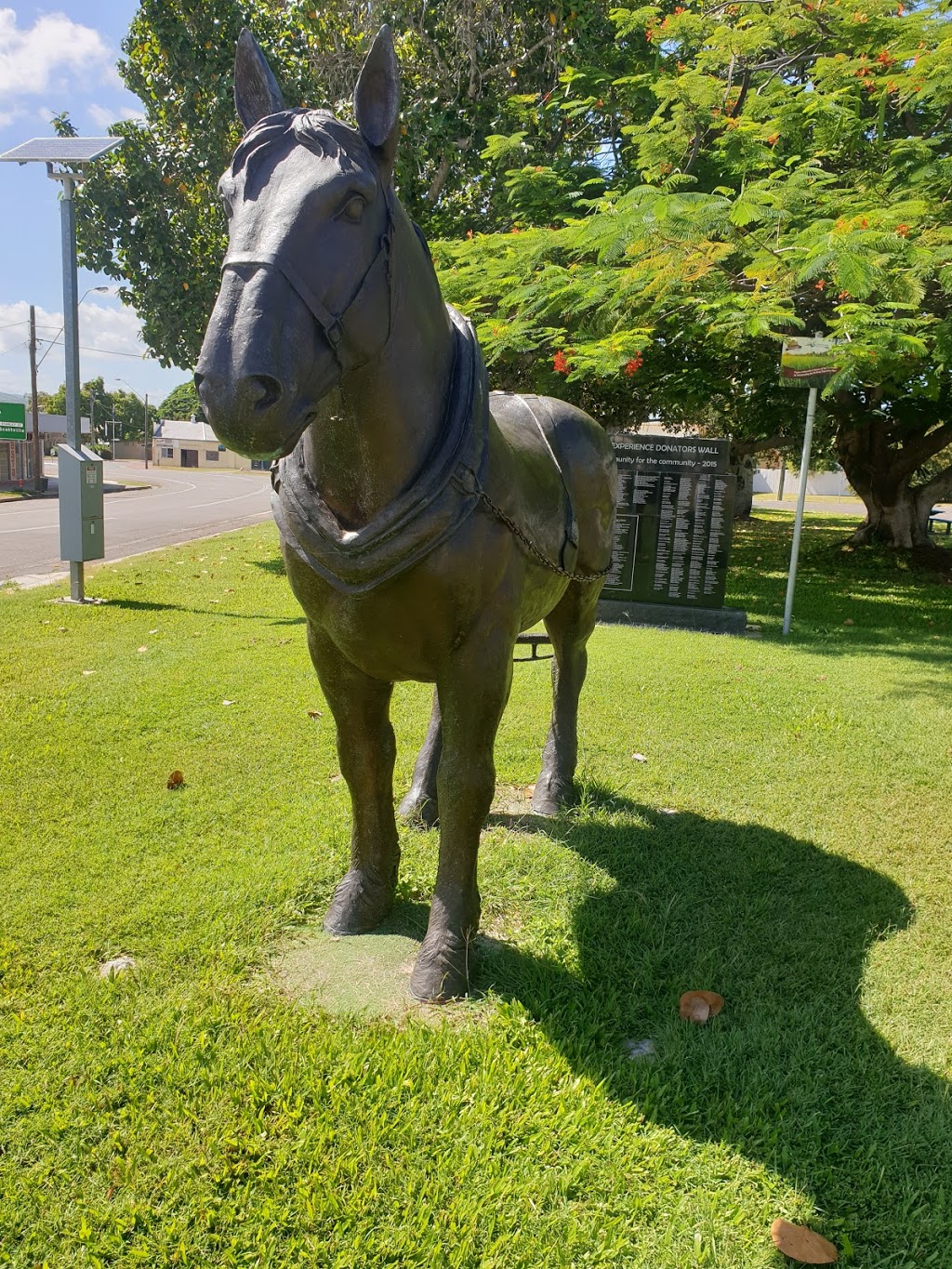 Collinsville Pit Pony Experience | tourist attraction | 34 Sonoma St, Collinsville QLD 4804, Australia | 0427573991 OR +61 427 573 991