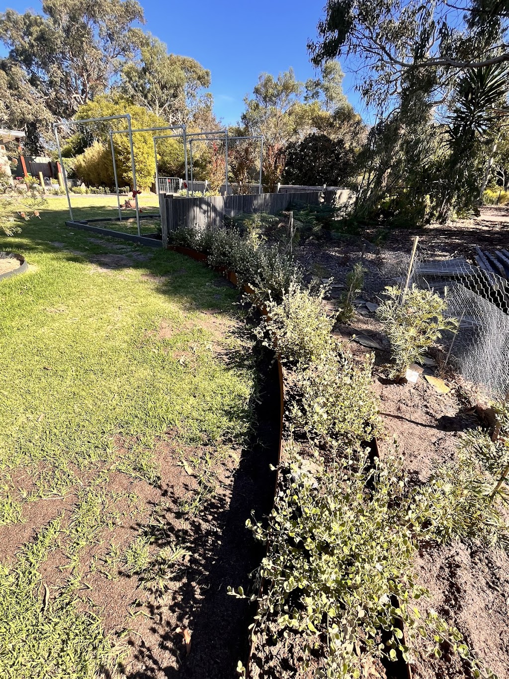 Turtle Gardens | 5 Empire Ave, Jan Juc VIC 3228, Australia | Phone: 0438 889 296