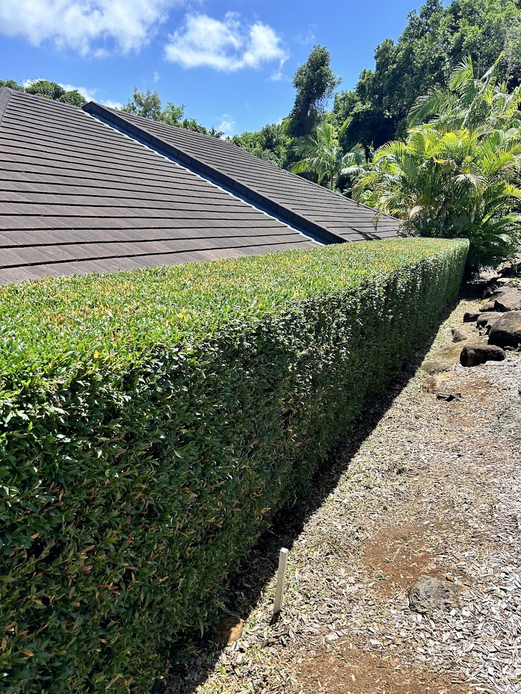 Pepos Gardens | 139 Possum Creek Rd, Bangalow NSW 2479, Australia | Phone: 0413 406 597