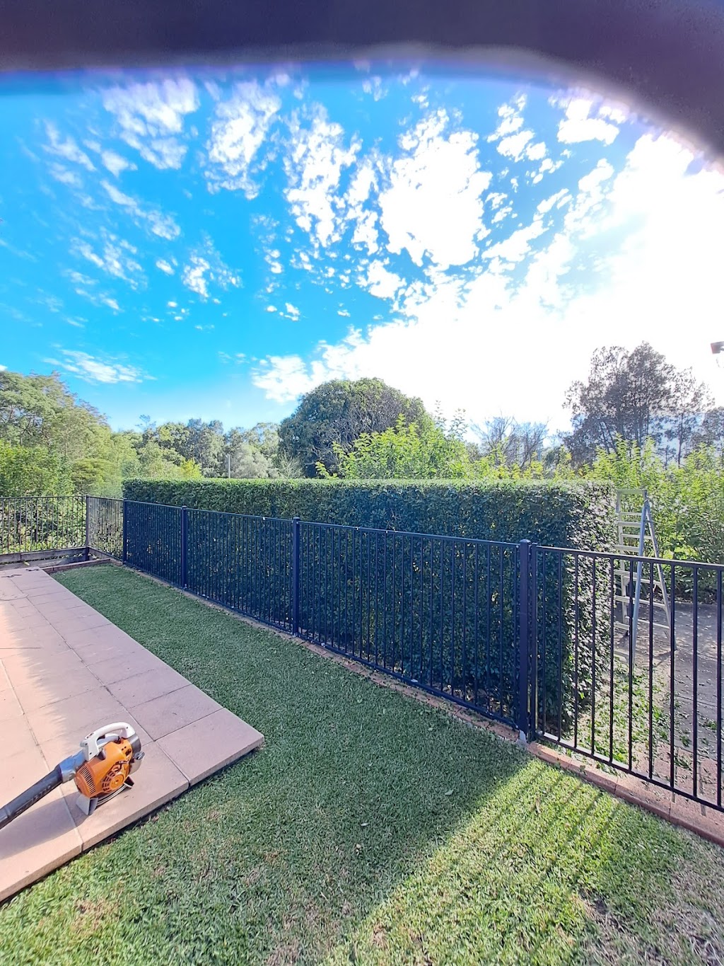 Budgewoi lawns(currently fully booked out) | Noella place, Budgewoi NSW 2262, Australia | Phone: 0458 806 285