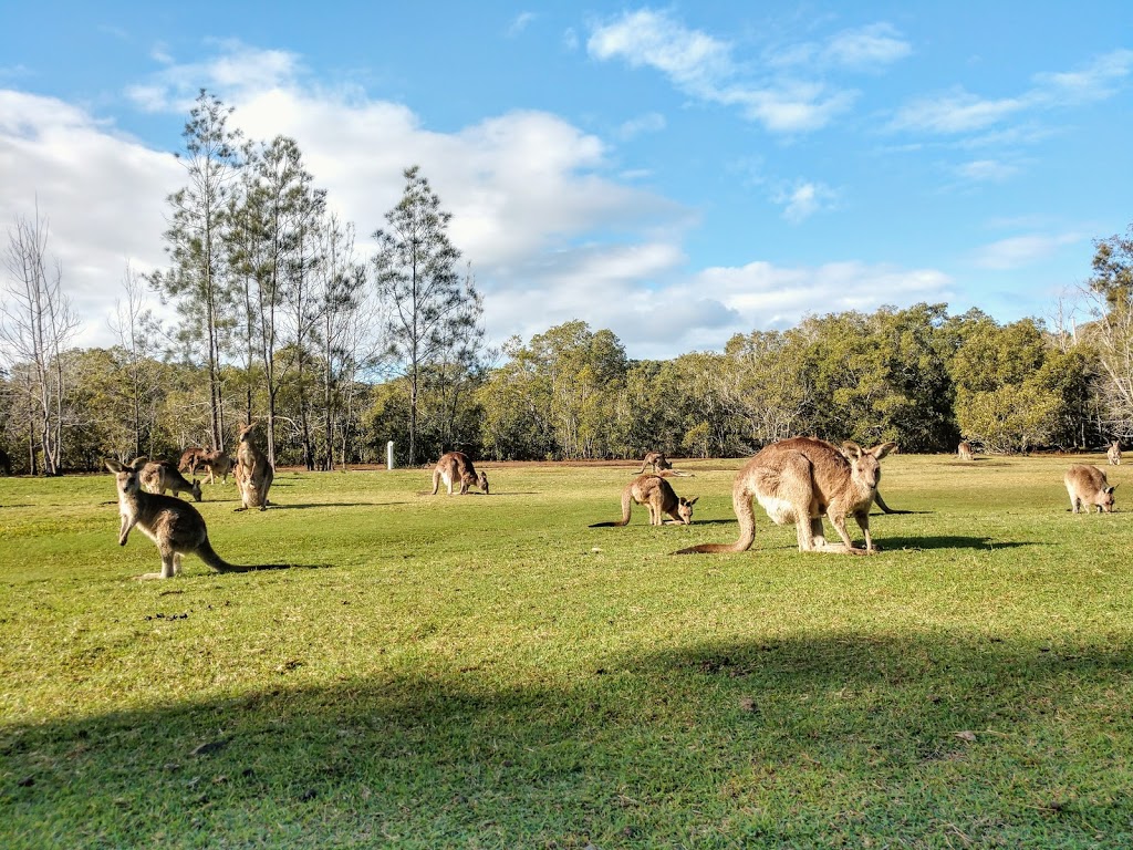 Lakeside Country Club | 433 Brisbane Rd, Coombabah QLD 4216, Australia | Phone: (07) 5594 0196