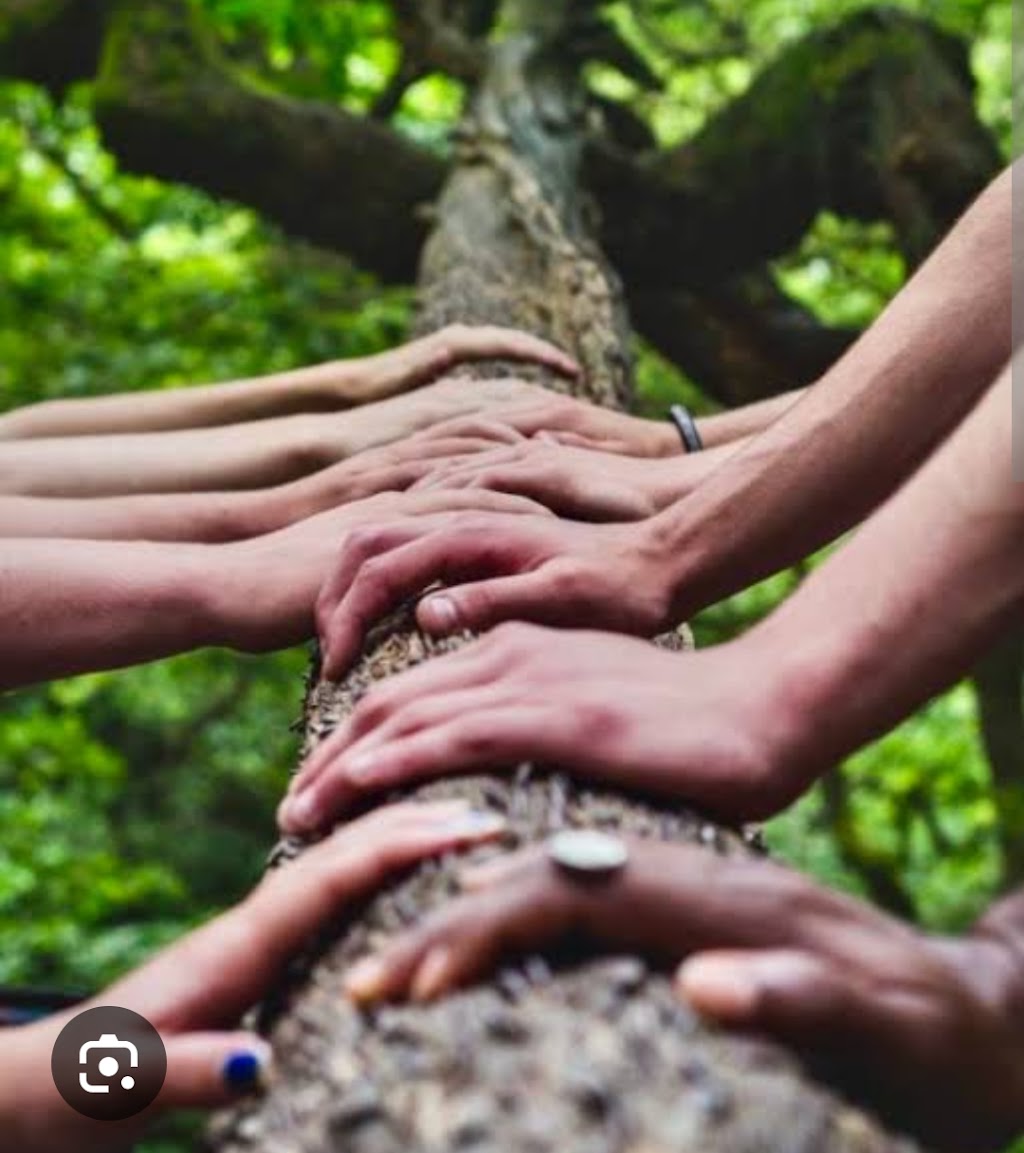 Hibiscus Soul Massage | 105A Lake Russell Dr, Emerald Beach NSW 2456, Australia | Phone: 0412 892 628