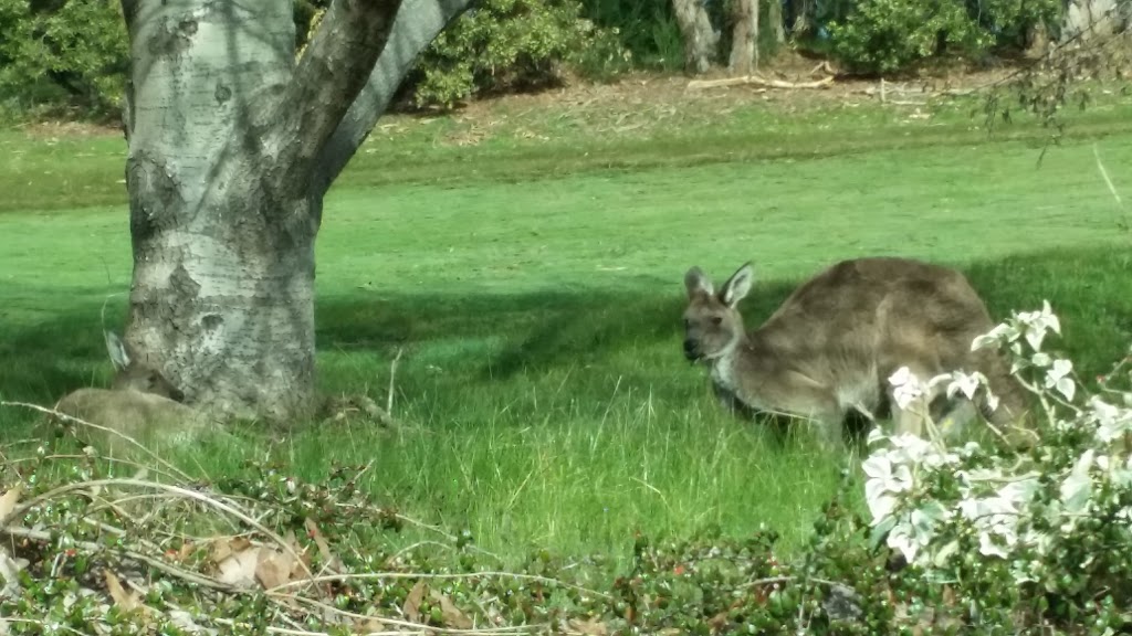 The Stirling Golf Club | 35 Golflinks Rd, Stirling SA 5152, Australia | Phone: (08) 8339 1788