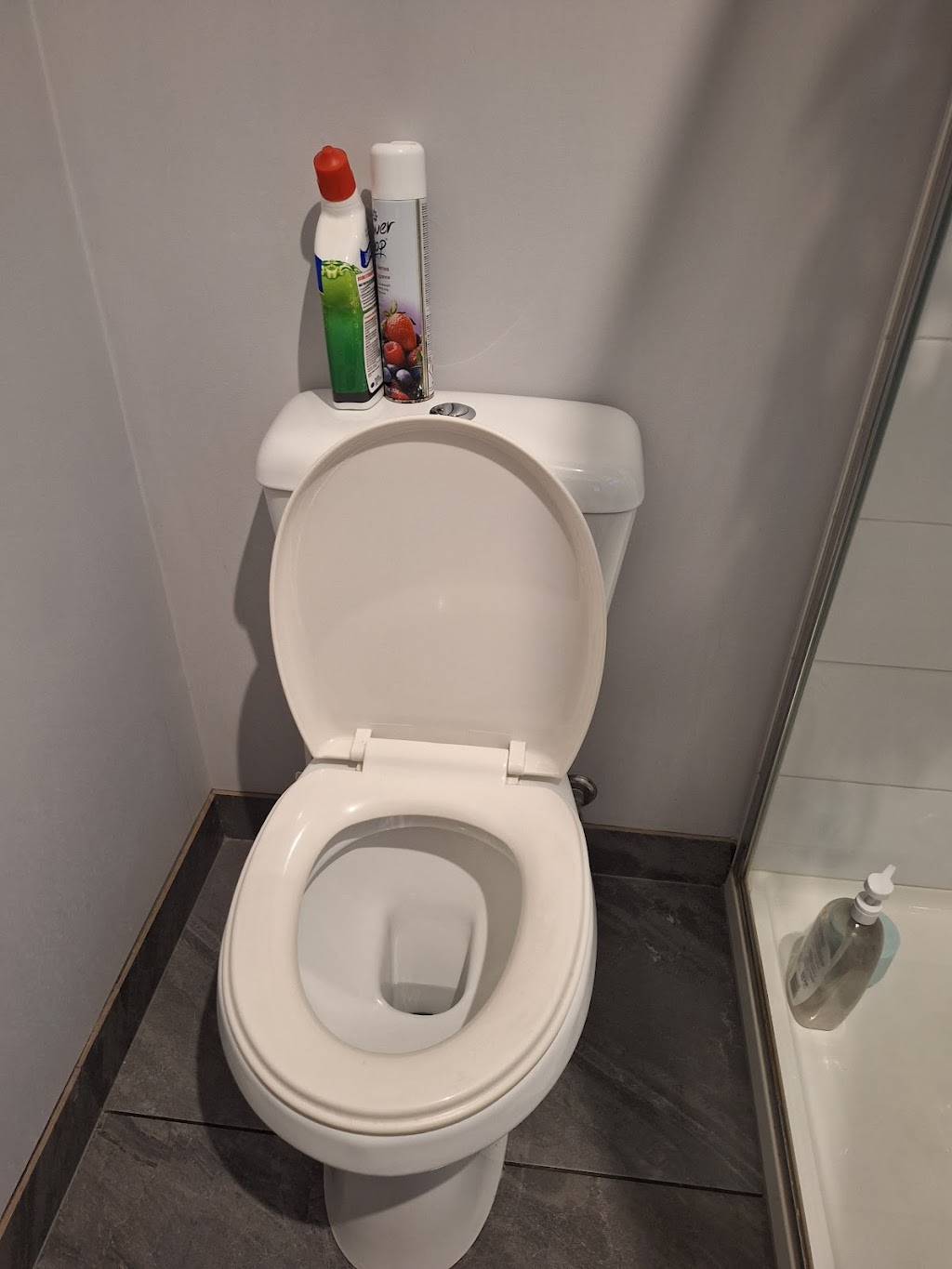 Luxe Clean Co. | Curletts Rd, Lara VIC 3212, Australia | Phone: 0420 734 759