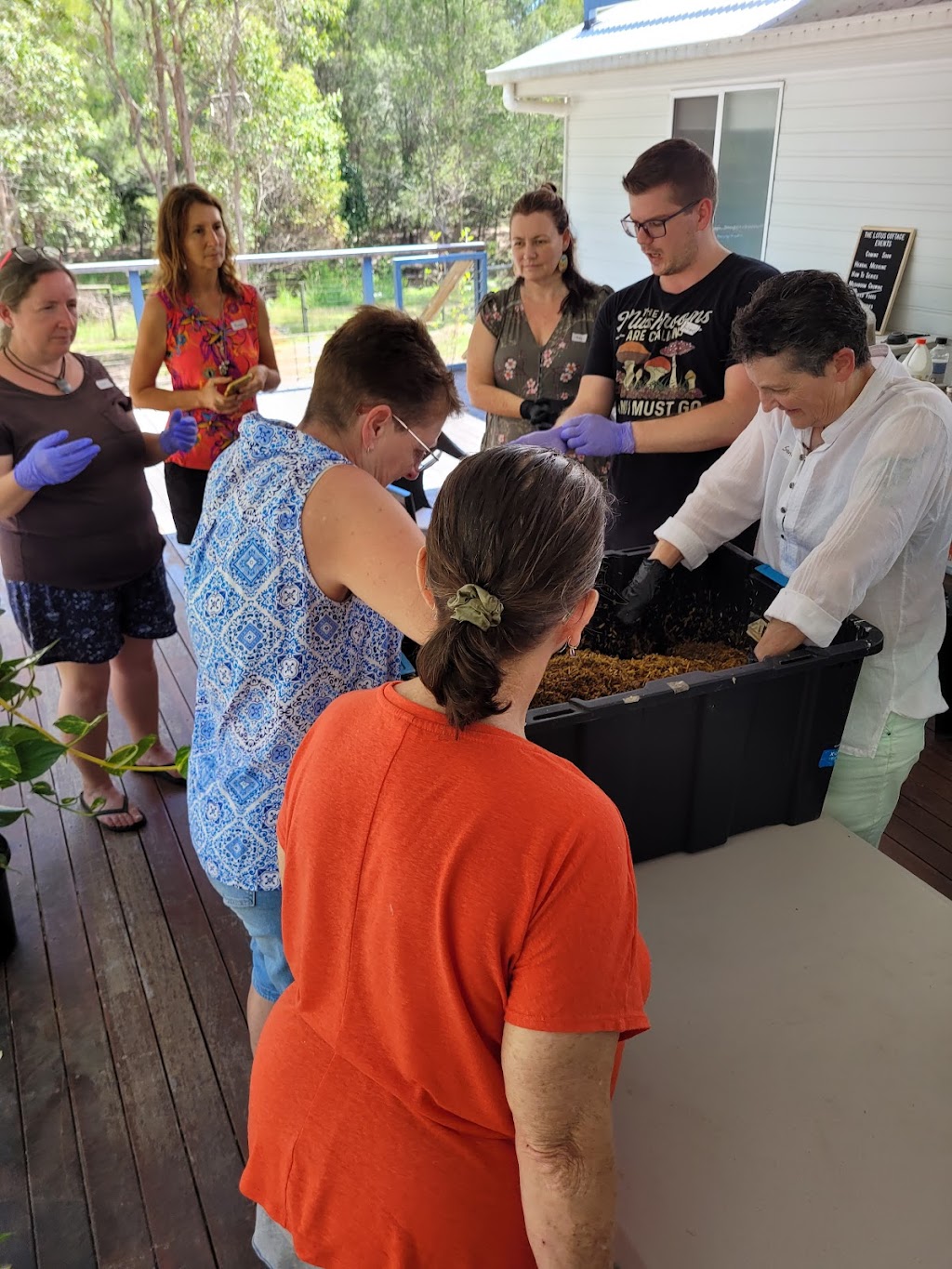 The Lotus Cottage | 8/14 Conifer Ct, Logan Village QLD 4207, Australia | Phone: 0435 774 564 The Lotus Cottage | 8/14 Conifer Ct, Logan Village QLD 4207, Australia | Phone: 0435 774 564