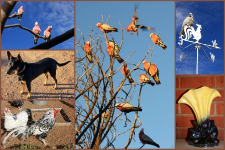 Gum Paddock Country Cottage | lodging | 18699 Barrier Hwy, Broken Hill NSW 2880, Australia | 0413011004 OR +61 413 011 004