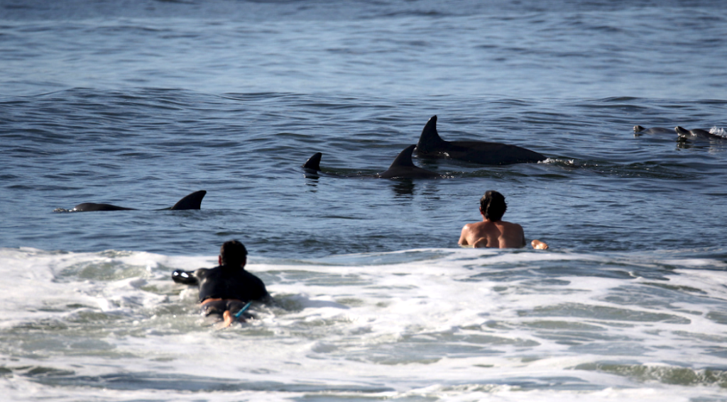 Surf Camp Down Under | Turners Beach, Yamba NSW 2464, Australia | Phone: 0447 693 863