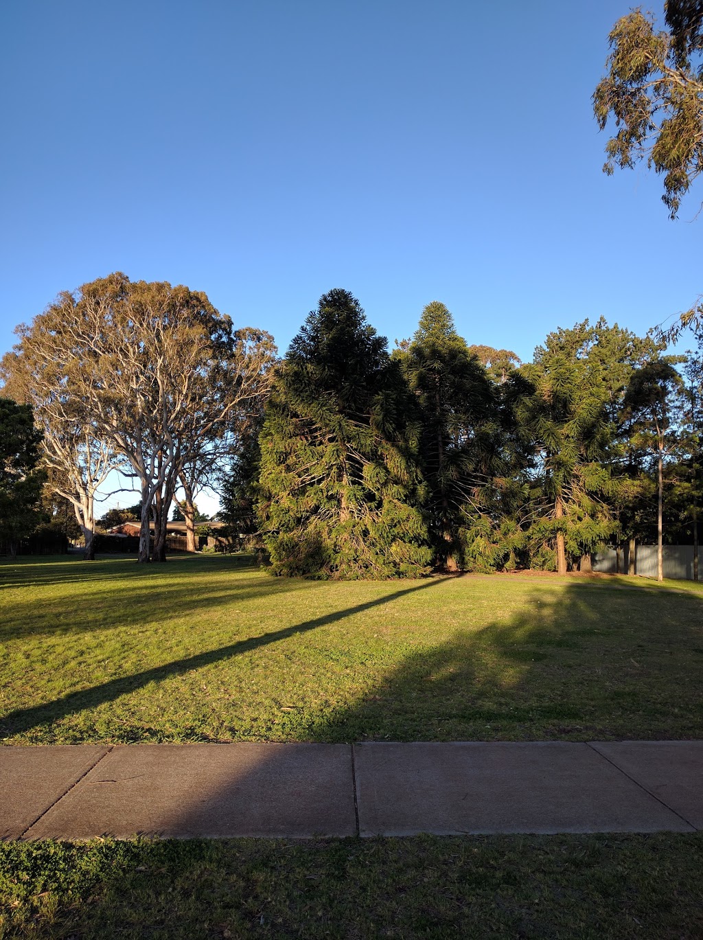 Birch Court Park | park | Darling Heights QLD 4350, Australia