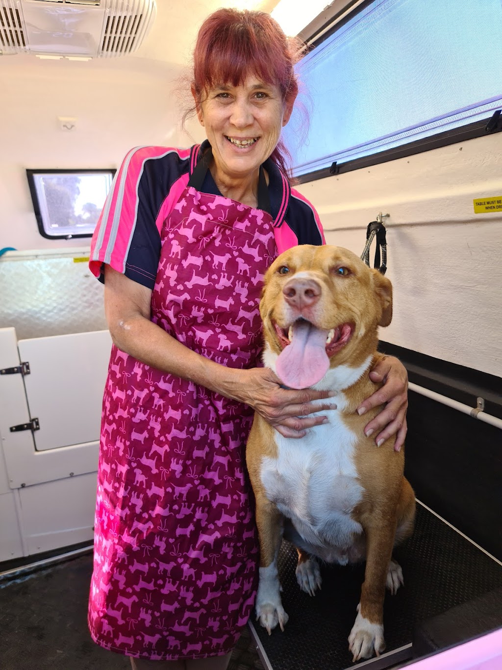 The Dog Wash Queen | 5 Indee Cres, Craigmore SA 5114, Australia | Phone: 0468 917 887