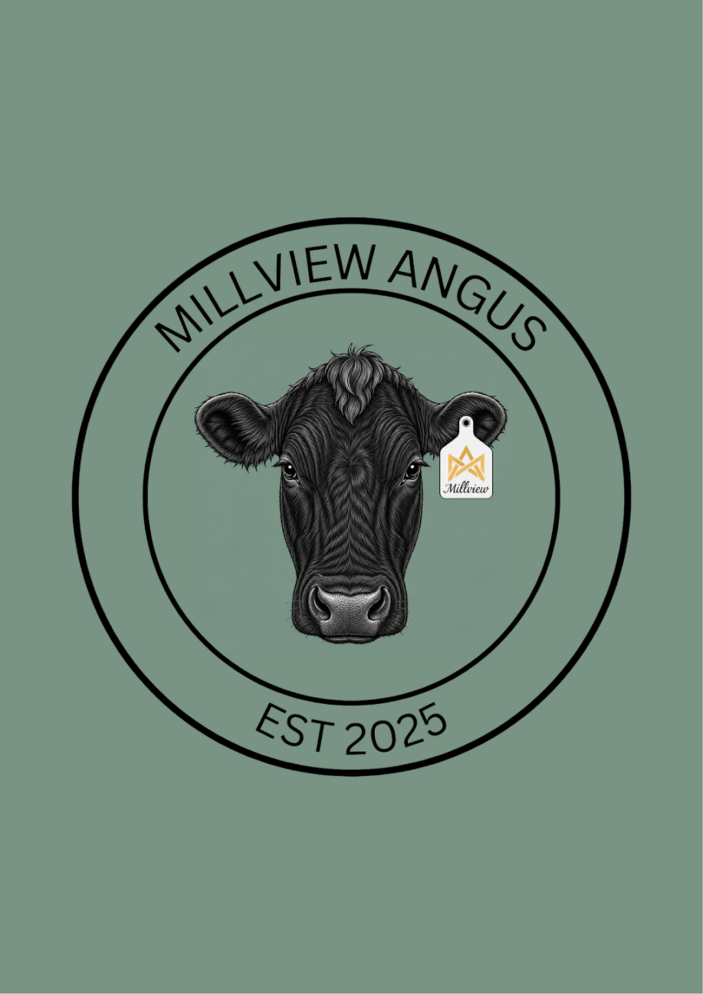 Millview Angus | 50 Morton Rd, Drouin East VIC 3818, Australia | Phone: 0487 648 809