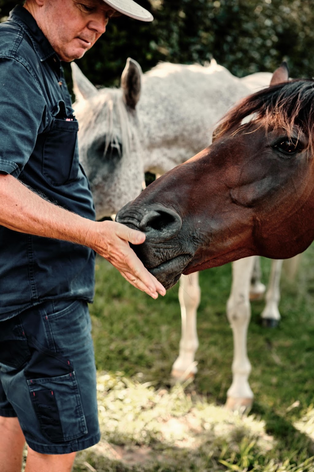 Higgins Creek Farm | 2553 Princes Hwy, Cockwhy NSW 2539, Australia | Phone: 0422 403 501