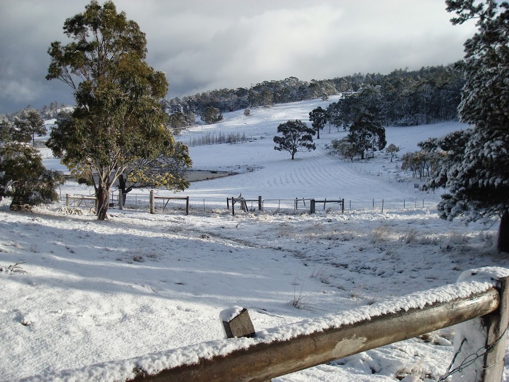 Heimat Farmstay | Heimat/430 Black Hills Rd, Black Hills TAS 7140, Australia | Phone: (03) 6209 3735
