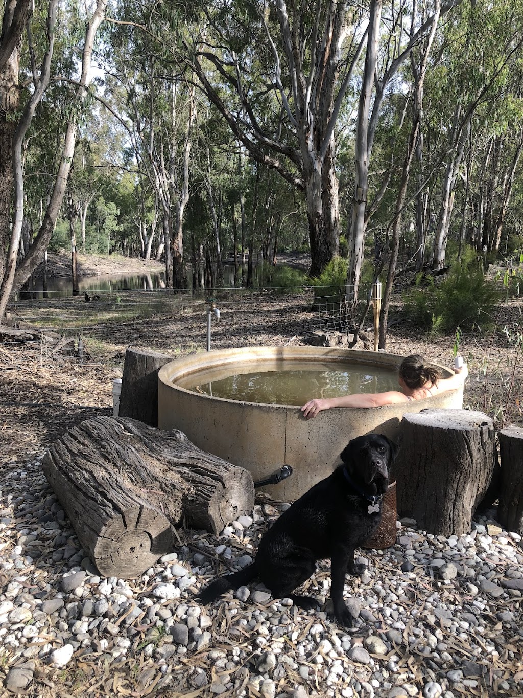 Gate 2 - Tooranie Stay Camp, and Glamp | Old Barmah Rd, Moama NSW 2731, Australia | Phone: 0425 875 029