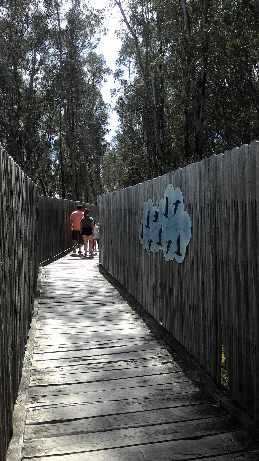 Reed Beds Bird Hide, Murray Valley National Park | Mathoura NSW 2710, Australia