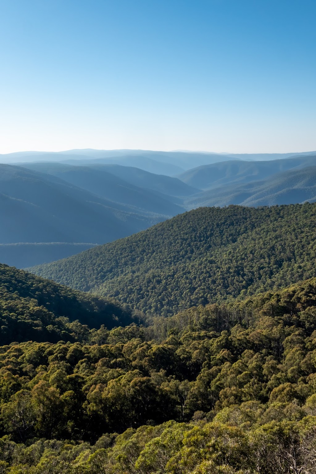 Mt Tabletop Lookout | park | Tabletop Walking Track, Dargo VIC 3862, Australia