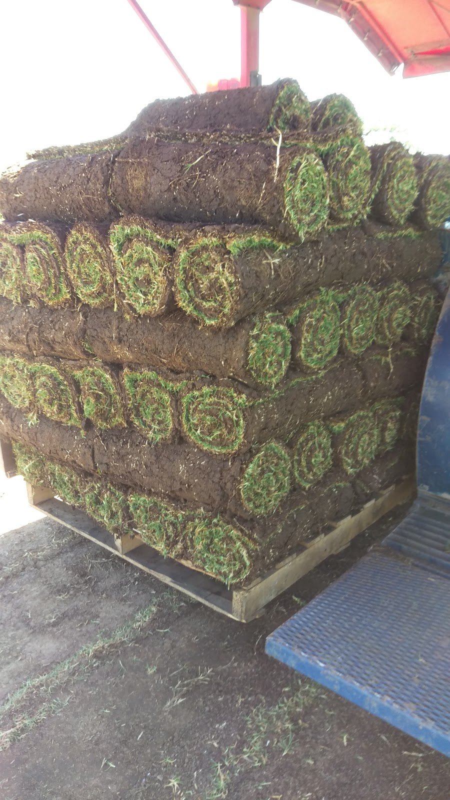 GLENRIDGE TURF..When Quality Counts.. |  | 332 Freemans Reach Rd, Freemans Reach NSW 2756, Australia | 0408414200 OR +61 408 414 200