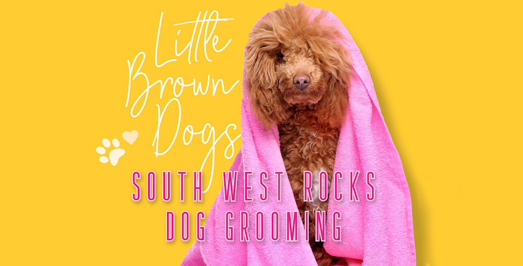 Little Brown Dogs |  | 19 Dilberang Cl, South West Rocks NSW 2431, Australia | 0439988918 OR +61 439 988 918