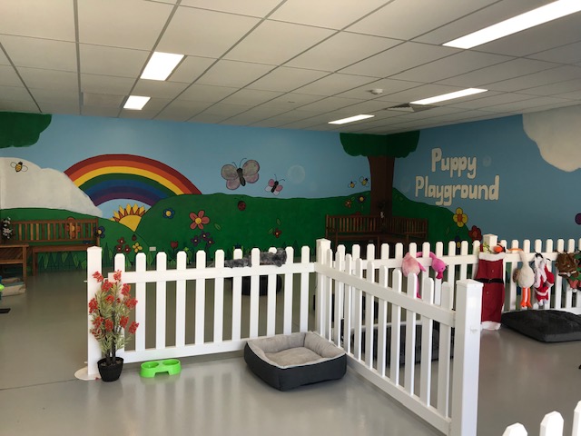 The Pawfect Place Doggy Day Care and Spa | pet store | Shop 7/8 Shaw St, Yarrabilba QLD 4207, Australia | 0756205343 OR +61 7 5620 5343