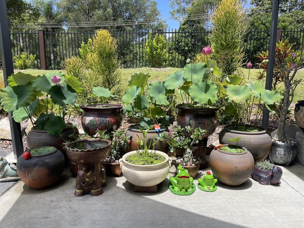 Thai Garden Centre | 22 Johns Rd, Mudgeeraba QLD 4213, Australia | Phone: 0415 774 910